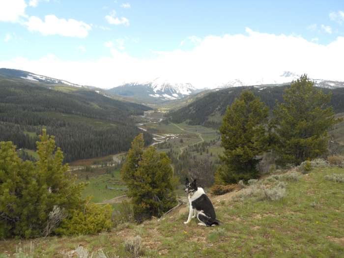 Taylor Fork camp site, Montana. This top-notch camp site comes with a view and plenty of wildlife.