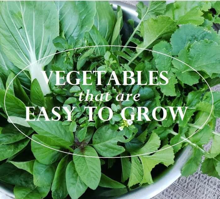 Have fun and enjoy some delicious homegrown food by starting these easy-to-grow veggies in your garden today.