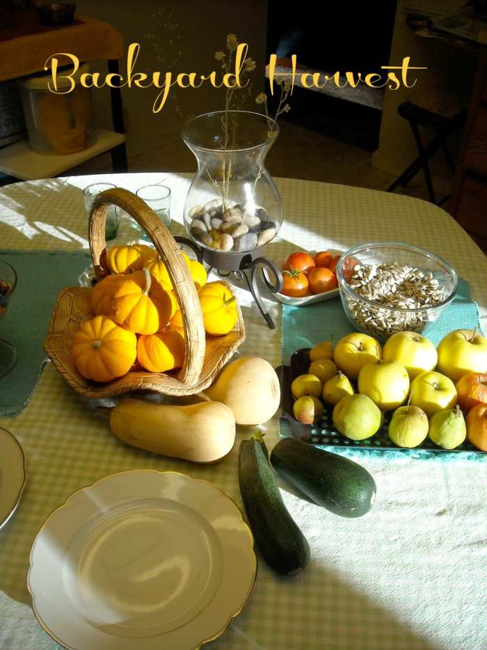 On an Autumn afternoon, there are apples, pears, sunflower seeds, summer squash, winter squash, pumpkins and tomatoes.