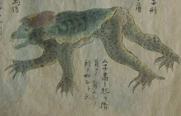 A drawing of a kappa that was supposedly captured on a beach in Japan in 1836. According to records from the time, this kappa was 1 meter long, weighed 45 kg and had a bent neck and protruding chest.