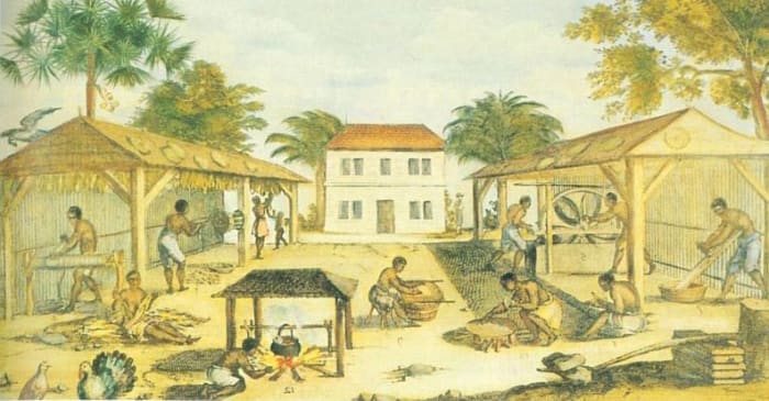 A Virginia tobacco plantation, circa 1670. Slaves toiled in a harsh environment without any legal protection after the 1705 law was passed.