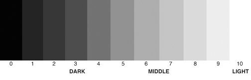 The value of a visual element measures how light or dark it is. Value is an essential element in drawings and paintings. Learn how value is the key to a successful painting, not color. How to understand and see values in art.