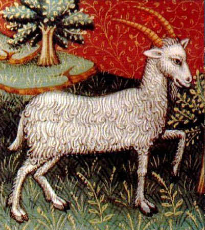 The Capricorn is symbolized by the Goat. Capricorn is also an Earth sign with and practicality and dependability dominating the Goat's personality.