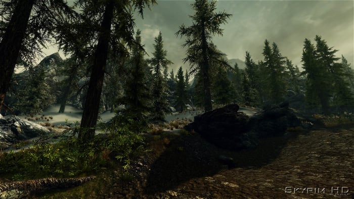 Screenshot of Skyrim with the Skyrim HD mod installed. Courtesy of Skyrim Nexus and NebuLa the mod author and of course Bethesda.