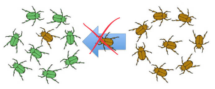 When human settlements block migratory routes, gene flow between neighboring populations cannot occur.