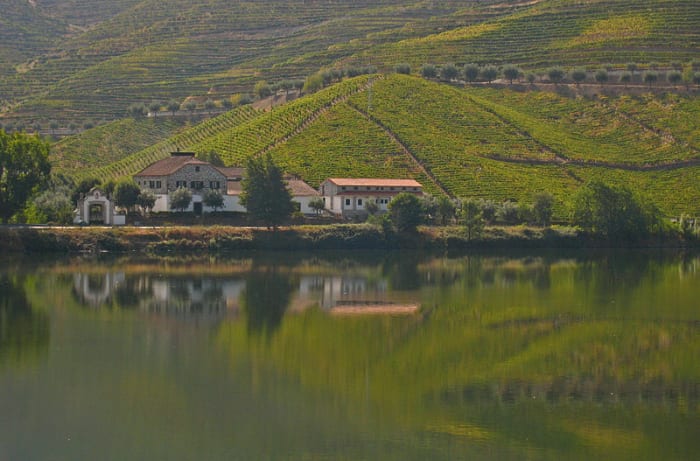Vineyards along the Douro river in Portugal
