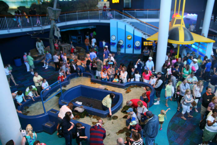 The Discovery Room at the aquarium in Myrtle Beach. This is one of three "rooms" in the aquarium.
