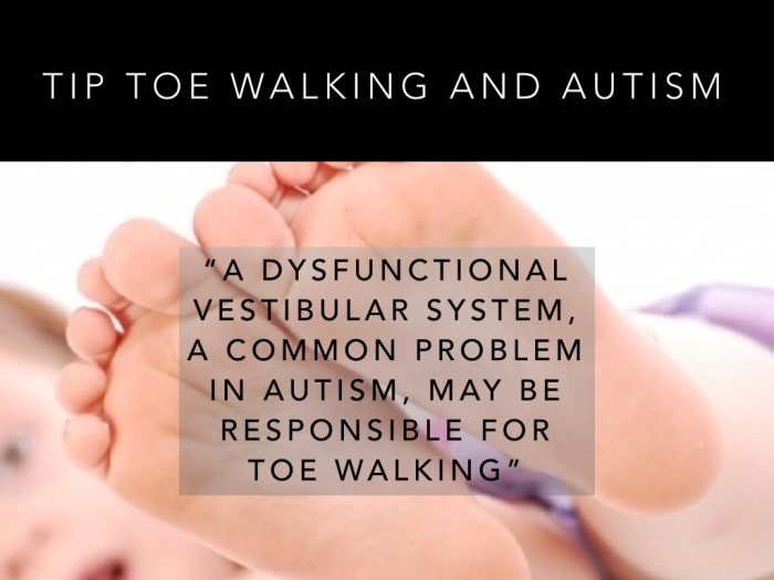 A dysfunctional vestibular system, a common problem in autism, may be responsible for toe walking.