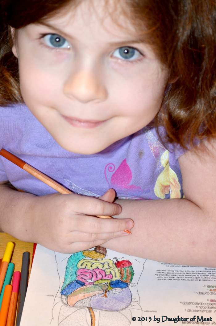 Homeschooling is a good option for kids with ADHD. The one-on-one attention makes it easier for them to learn at their own pace.