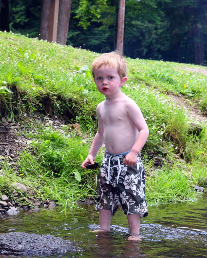 My husband and son carry MC1R polymorphisms, and display the red hair phenotype.