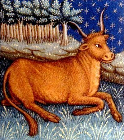 The Astrological symbol for those born with the Sun in the Taurus constellation is the Bull. This could help us to understand a Taurean's stubborn streak, digging their hooves in and not budging in an area where they have made a firm decision.