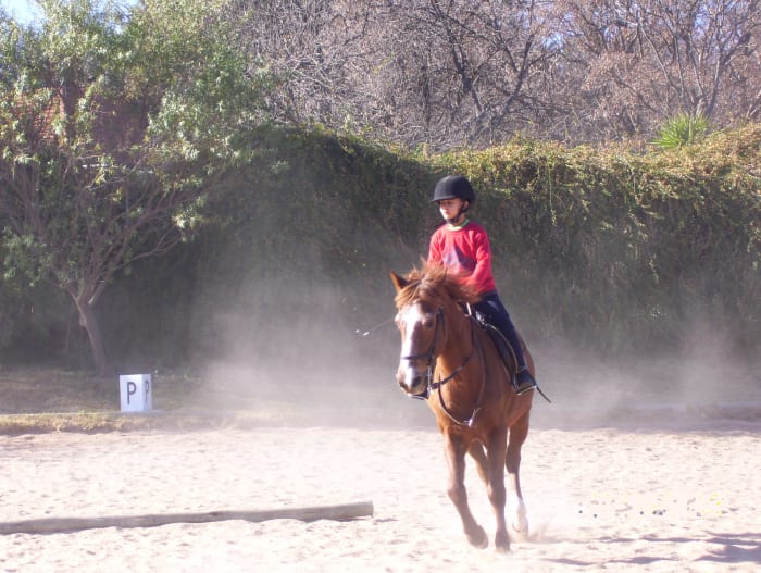 If you’re a rider you will at some point fall off your horse. With the tips in this article you can minimize the damage.
