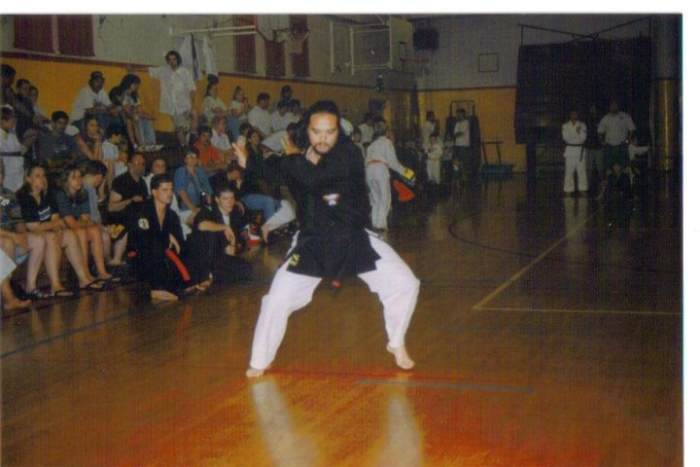 Kenpo uses both circular and linear movement along with continuity of motion, using fluidity to execute continuious strikes and defensive moves.