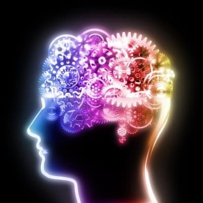 How does Karen Horney's concept of humanity shape her theories of personality?