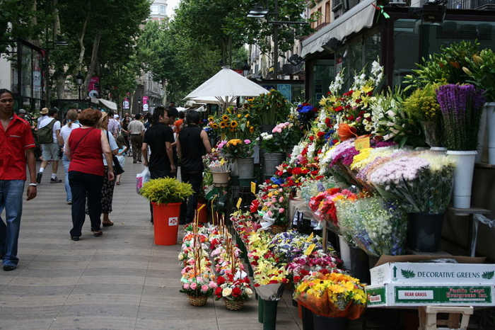 Wonderful flowers sold on the streets in Las Ramblas.