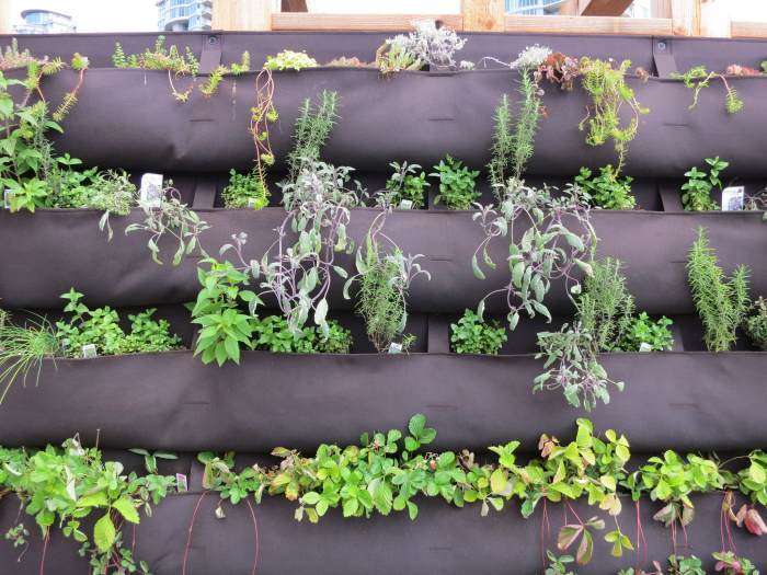 Vertical gardening allows you to grow a vast array of plants in small spaces while still enjoying solid yields and many tasty fruits.