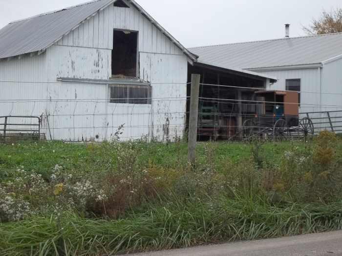 Amish Communities in Western Pennsylvania WanderWisdom Travel