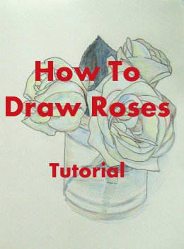 How do you draw a rose? Drawing instructions for beginners step-by-step. Drawing of Roses by Robie Benve - Ink pen and colored pencil