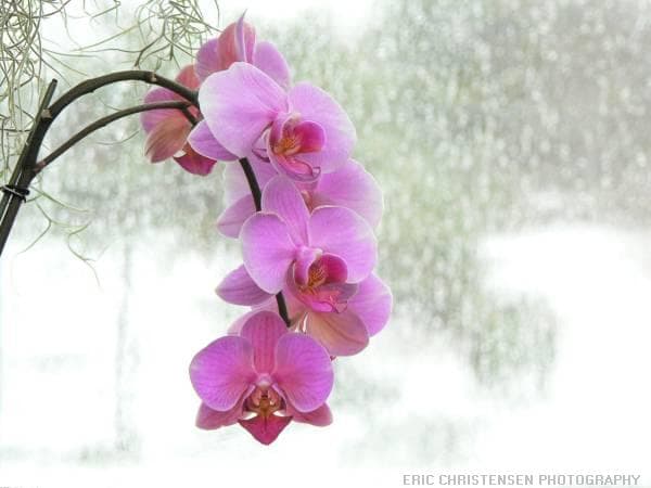 10-types-of-highly-sensitive-people-and-their-characteristics-which-best-suits-you