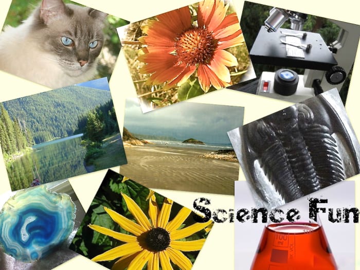Science games enable students to learn about important topics while having fun.