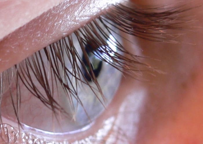 Long, thick lashes can be yours by giving them a coating of castor oil, which is rich in Vitamin E and restores hair naturally.