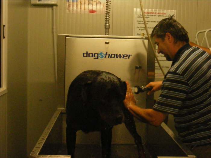 Grooming Difficult Dogs Sedation or Behavior Modification