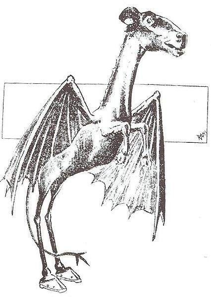 A sketch drawn during the 1909 sightings outbreak. Most witnesses report the Jersey Devil to have the head of a horse, bat-like wings, cloven hooves and short arms with fierce claws.
