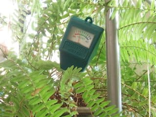 A plant moisture meter shows whether a pot's soil is dry (red), at a good level (green), or too wet (black).This fern probably needs watering now.