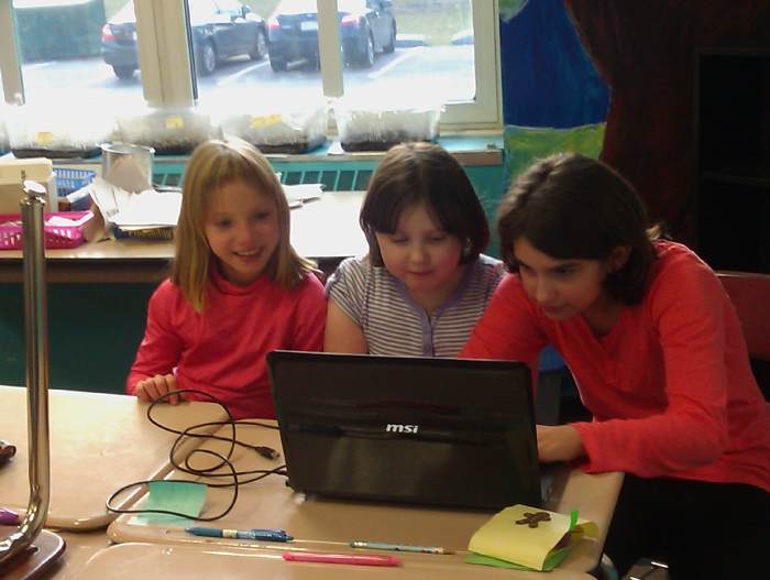 Are students learning cooperatively? How is this teaching best practice implemented in the classroom? Do students seem engaged AND happy?