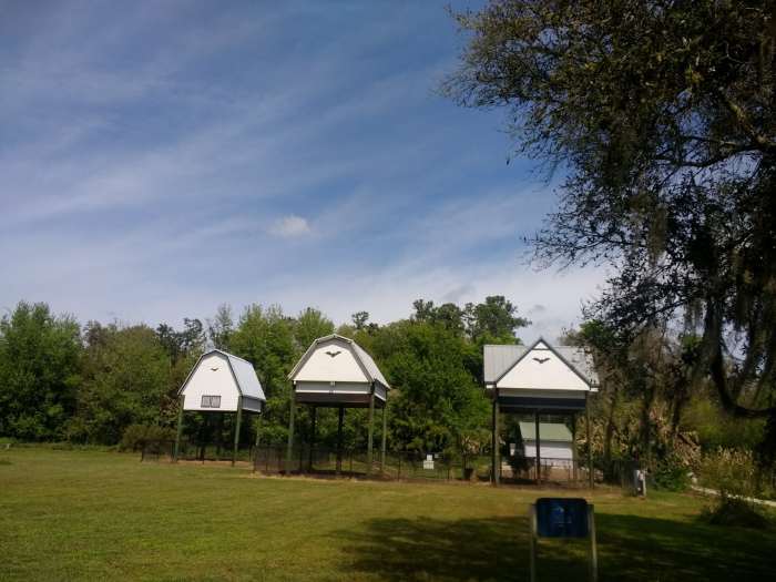 The two bat barns and bat house. The original U.F. Bat House was built in 1991, There are now three structures for the bats to live in.