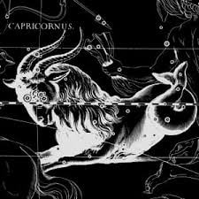 Capricorn is the 10th sign in the zodiac. It is ruled by Saturn. Saturn is associated with undergoing and overcoming life tests. Capricorn rules the 10th house which encompasses family legacy, positions of power and authority.