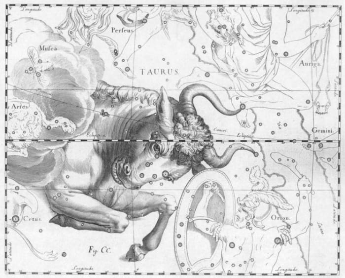 The Bull is the symbol for the Zodiac sign, Taurus which could explain the stubborn part of the personality.
