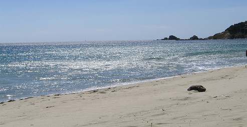 Remember the sensations of walking along the beach as you contemplate your coastal decorating project.