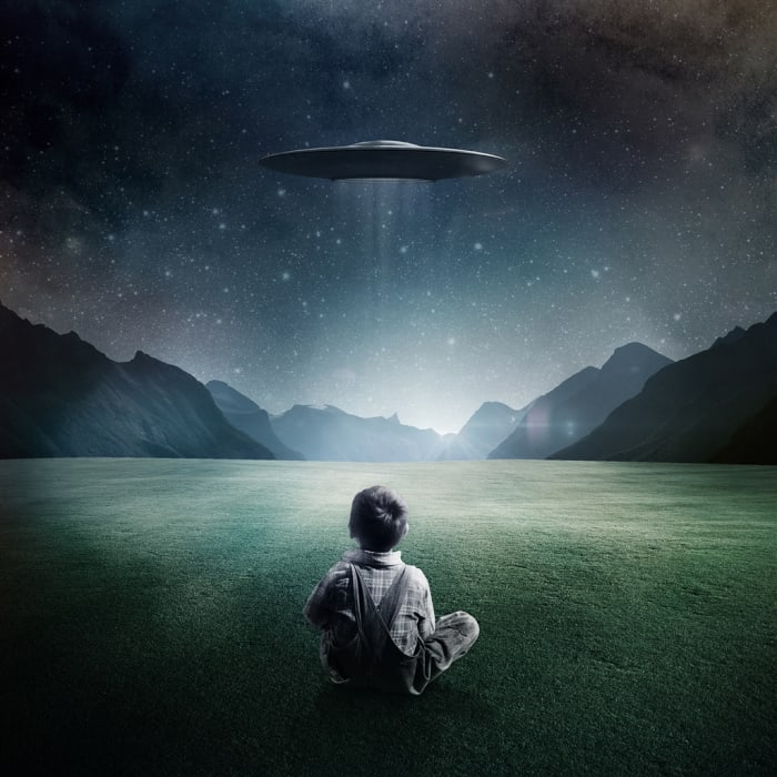 According to alien contactee Alex Collier, humans are a composite of 22 different extraterrestrial races.