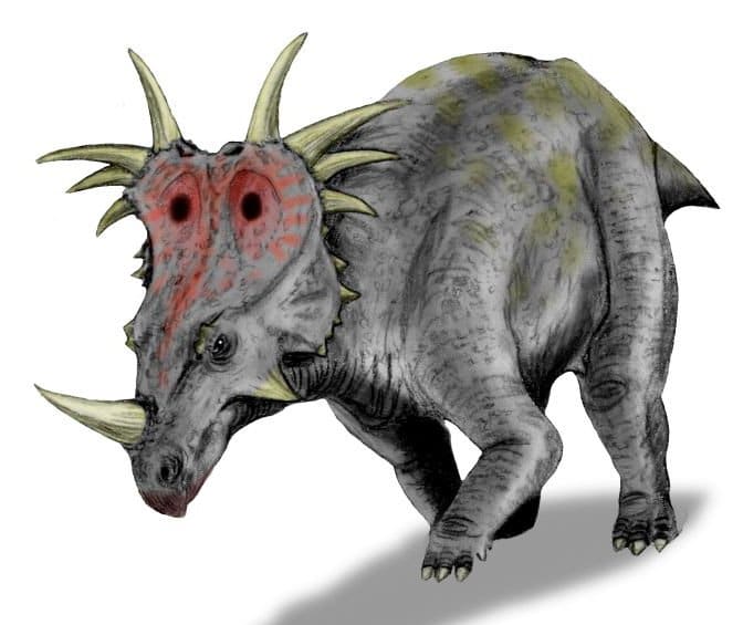 dinosaur with one horn on back of head