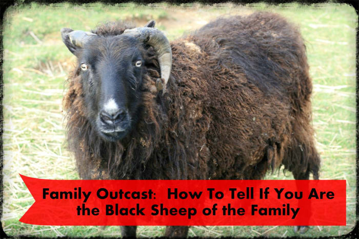 Uh-oh, this guy's not ewe, is it?