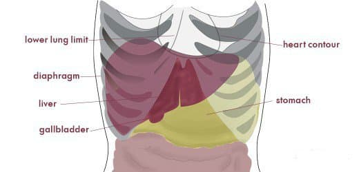 severe-pain-on-the-right-side-of-the-back-abdomen-and-ribs