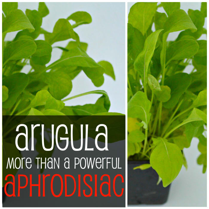 Arugula or salad rocket is revered as a libido enhancer throughout history, but that's not all! There's more to this peppery leaf, from cancer-fighting to bone health & more!