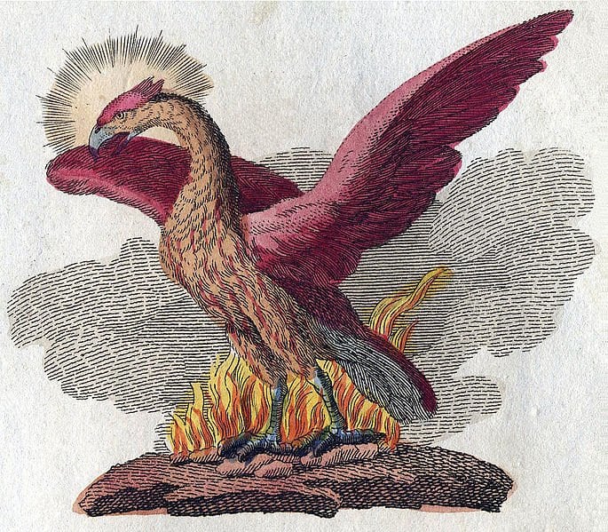 Legends of strange creatures have been with us since the beginning of time. Cryptozoologists study these animals, and sort of out fact from fiction.