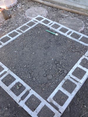 Plant an herb and leafy greens border in the small squares in the blocks. Take advantage of the small, squares for marigolds, calendula, nasturtiums.