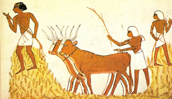 It was agriculture that allowed empires to flourish throughout the Middle East and North Africa, most famously in Egypt as shown here.