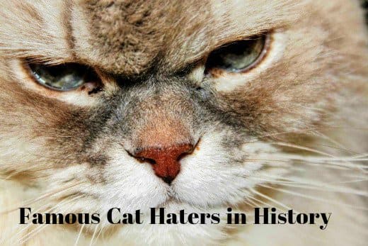Ailurophobia is the extreme and irrational fear of cats. However, there are also people who are just plain evil and seek to do cats harm. Cat haters in history have long been intimidated by the Almighty Cat's self-assurance.