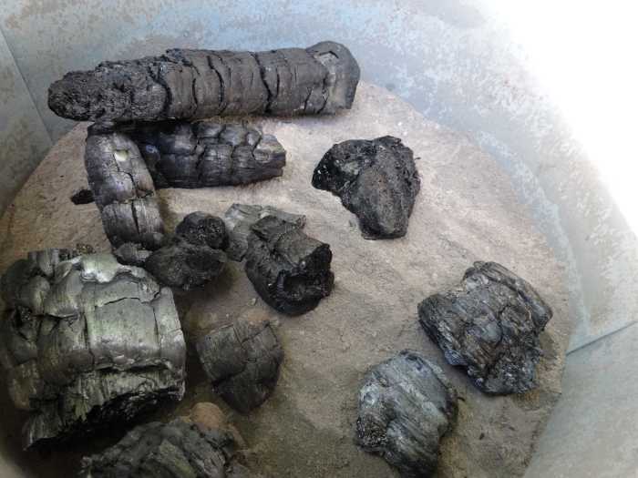 Wood charcoal and fire ash can serve many uses around the home and garden, and this article will show you how.