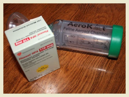 The AeroKat Feline Aerosol Chamber allows cats to use inhaled medications to treat asthma, chronic bronchitis and other breathing issues.