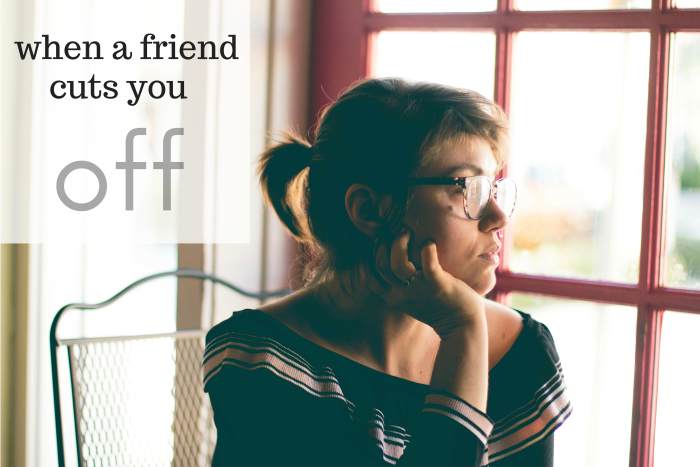 I've gone through the heartache of having a dear friend suddenly disappear from my life. The experience is devastating... but you WILL survive.