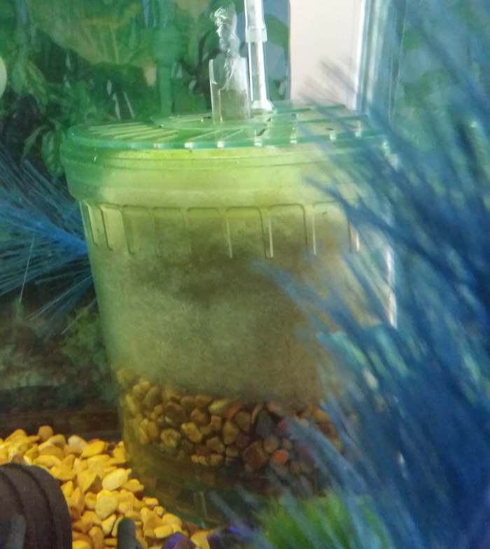 How to Use Box/Corner Filters in an Aquarium PetHelpful By fellow