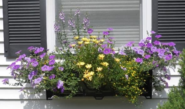 My summer window box. I used only the colors of purple and yellow to make this one.