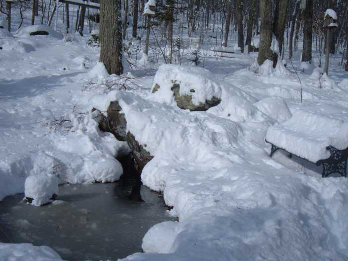 How to Winterize Your Pond Dengarden Home and Garden