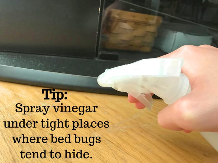 Spray the areas where bed bugs will scatter to when you spray them directly with vinegar. This way, they'll run into more vinegar.
