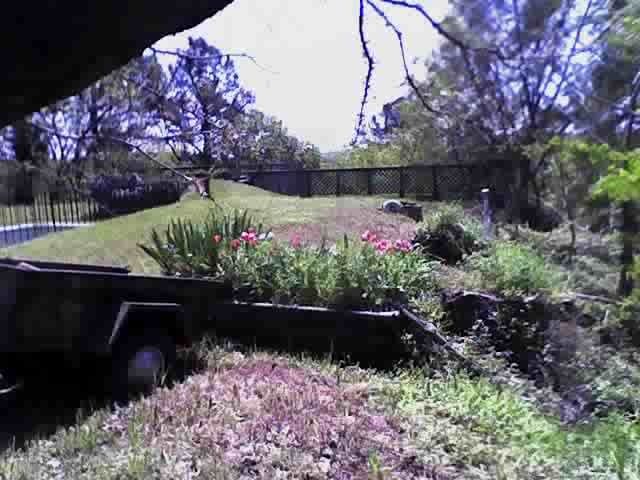 A mama groundhog and her brood tore up this flowerbed, but we don't have the heart to evict them.